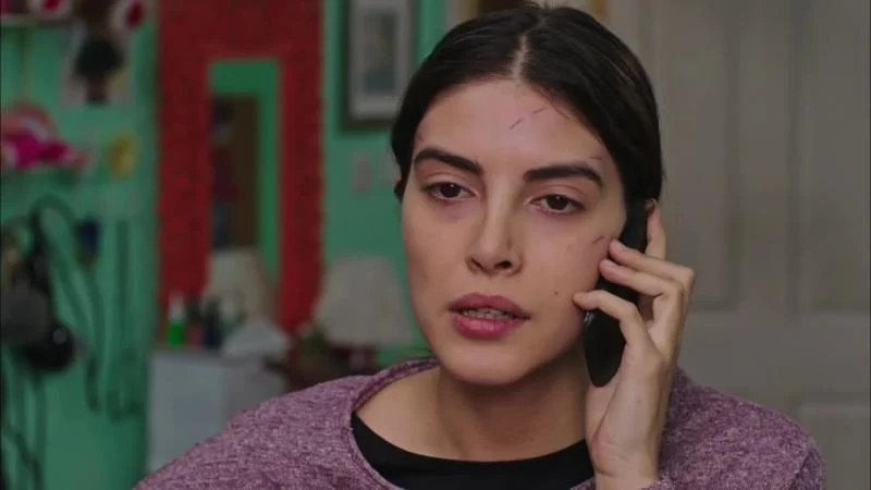 Кадры из сериала Госпожа Фазилет и ее дочери 9 серия 1 сезон (2017)